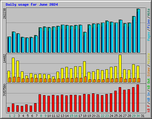 Daily usage for June 2024