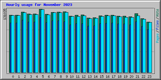 Hourly usage for November 2023