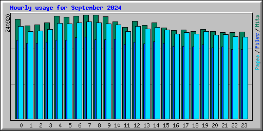 Hourly usage for September 2024